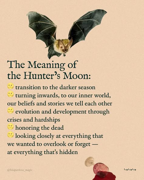 Astrologically, we are all having the same Full Moon all over the globe. But in terms of seasonal magic, it’s very different: here, in Serbia, I’m having spring, but some of my audience are experiencing autumn — if they live in the Southern Hemisphere. Seasonal magic is the art of feeling your land’s seasons, one Moon month after another — and doing your craft accordingly🌙 The names, such as Hunter’s Moon for this particular Full Moon, can be optional and change from one tradition to anoth... Hunters Moon Ritual, Hunters Full Moon, October Full Moon, Magic Lessons, Witchcraft Inspiration, Hunter Moon, Full Moon Meaning, Full Moon Magic, Hunters Moon