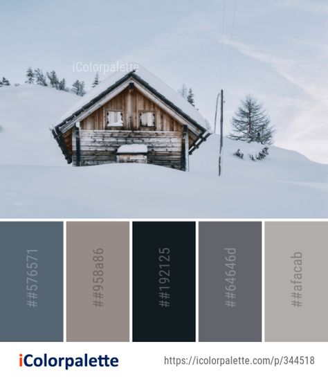 Color Palette Ideas from Snow Winter Home Image Ski Lodge Color Palette, Ski Chalet Color Palette, Lodge Color Palette, Cabin Color Schemes, Log Cabin Interior Paint Colors, Ski Homes Interior, Cabin Color Palette, Modern Ski House, Nordic Cabin