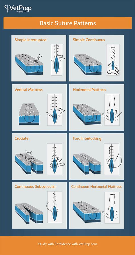 Infographic: Basic Suture Patterns Suture Practice, Stitches Medical, Veterinary Tech, Vet Tech Student, Vet Tech School, Vet Technician, Kedokteran Gigi, Veterinary School, Veterinary Science