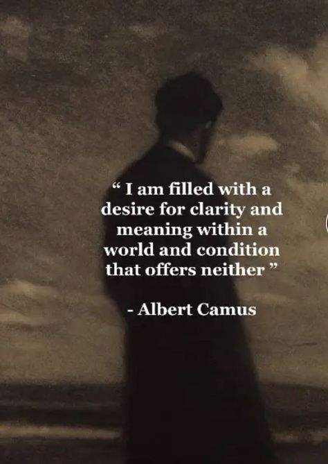 Camus Quotes, Literature Humor, Stoicism Quotes, Philosophical Quotes, Literature Quotes, Socrates, Albert Camus, Philosophy Quotes, Literary Quotes