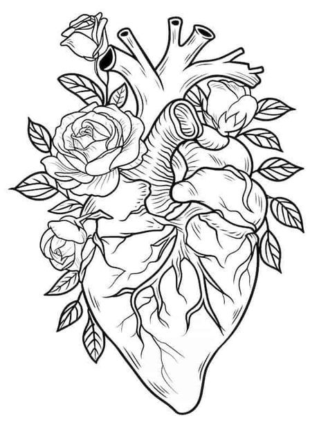 Rose Coloring, Our Mindful Life, Rose Coloring Pages, Skull Coloring Pages, Heart Coloring Pages, Detailed Coloring Pages, Tattoo Stencil Outline, Free Adult Coloring Pages, Hard Quotes