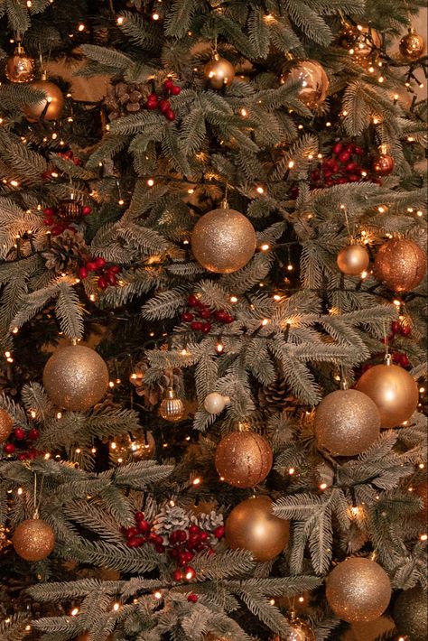 Golden Christmas Aesthetic, Christmas Tree Astethic Wallpaper, Christmas Time Photography, Christmas Aesthetic Tree Wallpaper, Gold Christmas Aesthetic Wallpaper, Gold Christmas Aesthetic, Christmas Wallpaper Trees Lights, Luxury Christmas Tree, Christmas Tree Wallpaper