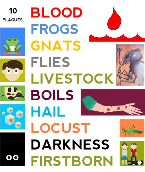 Ten Plagues of Egypt: Things You Might Not Know Moses And The 10 Plagues, 10th Plague Of Egypt Craft, Moses Plagues, Ten Plagues Of Egypt, Egypt Lessons, Egypt Crafts, 10 Plagues, Plagues Of Egypt, Expense Sheet