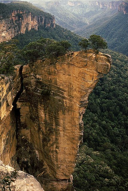 greyocean: Hanging Rock, Blue Mountains NSW (by NettyA) Hanging Rock, North Carolina Travel, Nc Mountains, North Carolina Mountains, North Carolina Homes, Halong Bay, Appalachian Mountains, Blue Mountains, Victoria Australia