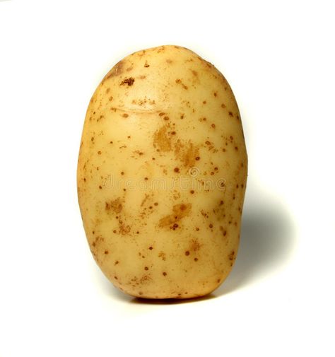 Potato. A single potato on a white background , #affiliate, #single, #Potato, #potato, #background, #white #ad Single Vegetables Images, Potato Picture Cute, Aesthetic Potato, Potato Background, Potato Wallpaper, Wyatt Core, Potato Aesthetic, Potato Photography, Potato Photo