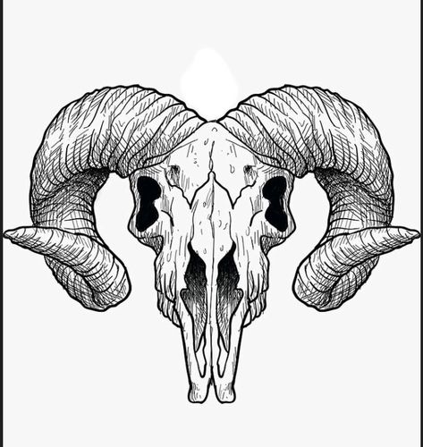 Goat Skeleton Tattoo, Goat Head Tattoo Satanic, Goat Line Art, Animal Skulls Drawing, Sheep Skull Tattoo, Goat Skull Drawing, Ram Skull Tattoo Design, Ram Skull Drawing, Longhorn Tattoos