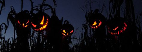 Pumpkins Halloween Facebook cover Halloween Cover Photos, Halloween Facebook Cover, Haunted Corn Maze, Halloween 2010, Halloween Scarecrow, Halloween Express, Corn Maze, Theme Halloween, Halloween Backgrounds