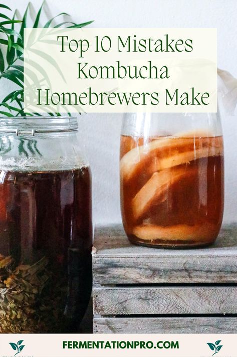 Embarking on your kombucha brewing journey? Make sure you're not falling into these all-too-common traps that can spoil your batch. From understanding the importance of cleanliness to mastering the perfect fermentation time, this guide will help you navigate the dos and don'ts of creating that perfect fizzy drink. Whether you're a newbie or a seasoned brewer, these insights will keep your kombucha delicious and safe every time. Kombucha 2nd Fermentation, How To Make Kombucha Scoby, Kombucha For Beginners, Best Kombucha Flavors, Diy Kombucha How To Make, Home Made Kombucha, Small Batch Kombucha, Hard Kombucha Recipe, Kombucha Recipe Flavored