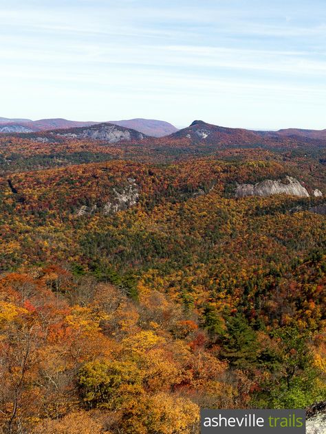 Hike to Devils Courthouse at Whiteside Mountain, scoring exceptional summit views near Highlands, NC Asheville Hiking, Asheville Hikes, Running Trails, Highlands Nc, Pisgah National Forest, Asheville North Carolina, Blue Ridge Parkway, Down South, National Forest