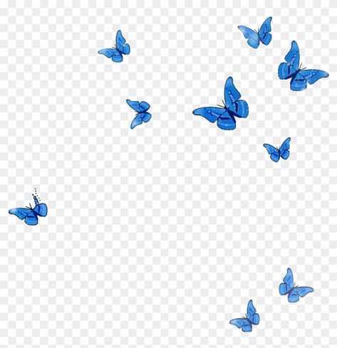 Butterfly Png Editing, Blue Butterfly Png, Blue Flower Png, Butterflies Png, Butterfly Animal, Butterfly Png, Butterfly Background, Overlays Instagram, Png Aesthetic