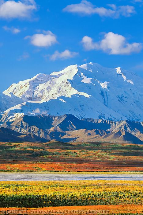 Mt Denali in autumn | AlaskaPhotoGraphics.com Denali National Park, Places In The World, Alaska Travel, Beautiful Places In The World, Alam Yang Indah, Life Magazine, Mountain Landscape, Landscape Photos, Most Beautiful Places