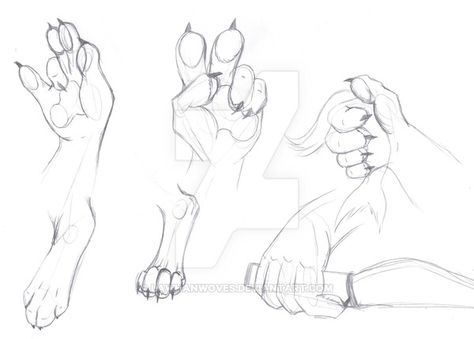 Anthro Paws, Paw Drawing, Manga Ideas, Wolf Paw, Draw Manga, Anatomy Sketches, Anatomy Drawing, Poses References, Animal Sketches