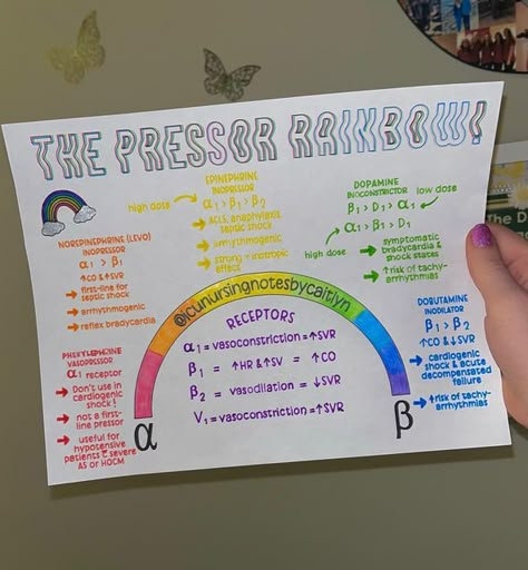 Vasopressors Cheat Sheets, Alpha And Beta Receptors Cheat Sheets, Vasopressors Nursing, S1 And S2 Heart Sounds Nursing, Beta Receptors, Alpha And Beta Receptors, Ccrn Review, Cardiovascular Assessment Nursing, Heart Valves Mnemonics