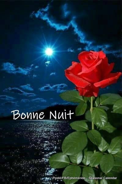 Bonne nuit Lovely Flowers Wallpaper, Happy Friendship Day, Pinterest Images, Bon Weekend, Montage Photo, Good Night Wishes, Night Wishes, French Quotes, Text Image