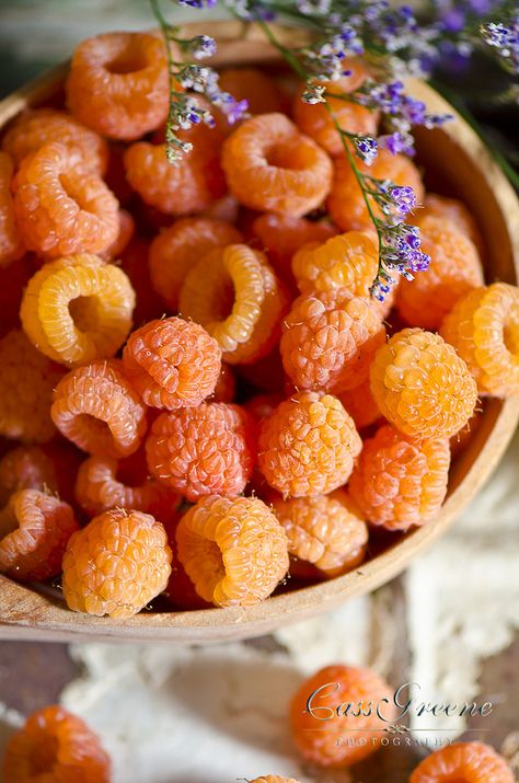 Fuzzy Wuzzy! ©Cass Greene Photography. #food #photography ❤️ Food Photography Fruit, Yellow Raspberries, Weird Fruit, Fruit Food, Fruit Photography, Beautiful Fruits, Colorful Fruit, Exotic Fruit, Healthy Fruits