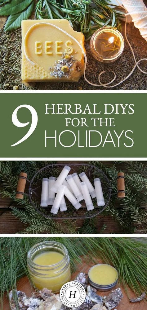 Herb Gifts, Herbal Academy, Yule Gift, Homemade Holiday Gifts, Handmade Holiday Gifts, Diy Holiday Gifts, Homemade Holiday, Natural Christmas, Cadeau Diy