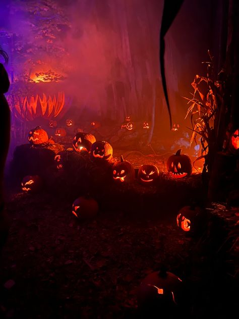 Whimsigoth Halloween Aesthetic, Spooky Party Aesthetic, Halloween At Night, Halloween Theme Aesthetic, Fun Halloween Aesthetic, Hollowed Aesthetic, Halloween Themed Background, Colorful Spooky Aesthetic, Halloween Photography Aesthetic