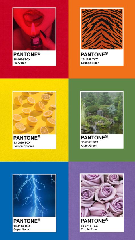 #aesthetic #moodboard #collage #colorful #color #collageart #pantone Pantone Mood Board, Pantone Collage, Shuffles Aesthetic, Moodboard Collage, Aesthetic Moodboard, Connect With People, Your Aesthetic, Creative Energy, Collage Art