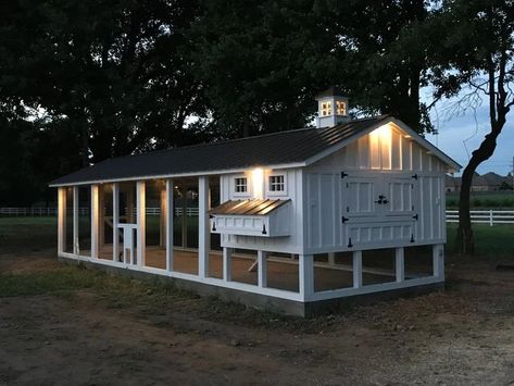 Chicken House Ideas, Carolina Coop, Simple Chicken Coop, Fancy Chicken Coop, Cute Chicken Coops, Chicken Coop Garden, Backyard Renovation, Animal Aesthetic, Chicken Coup