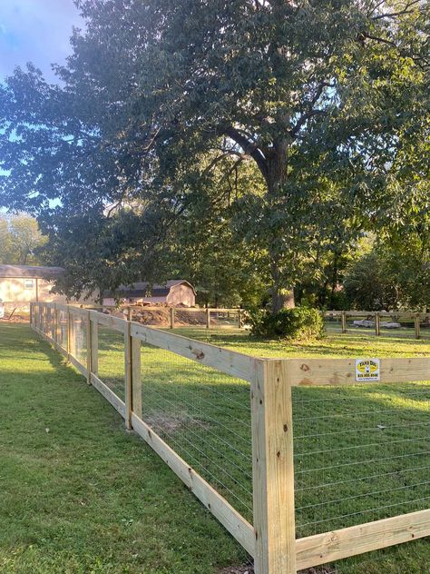 Yard Dog Fencing – Middle Tennessee Fence Installers Fenced In Dog Yard, Chicken Wire Dog Fence, Mobile Home Fenced Yard, Dog Fence Ideas Backyards, Cheap Fence Ideas For Dogs, Fence Ideas For Dogs, Fence With Wire, Dog Yard Fence, Dog Fence Ideas