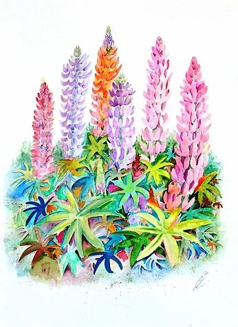 Watercolours | elizabeth-a-sadler Lupin Flower, Watercolour Botanical, Painting Garden, Color Drawing, Acrylic Artists, Botanical Watercolor, Watercolor Flower, Colorful Garden, Botanical Wall Art