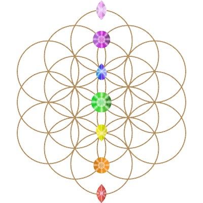 Flower of life with chakras Harmony Symbol, Scared Geometry, Science Symbols, Symbols Tattoo, The Seven Chakras, The Flower Of Life, Sacred Geometry Symbols, Sacred Geometry Art, Spirit Science