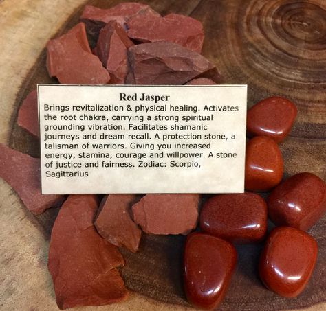 Tuesday Crystals, Plant Altar, Fend Shui, Crystal Alter, Raw Jewelry, Crystal Seashells, Rock Cycle, Dream Recall, Red Jasper Stone