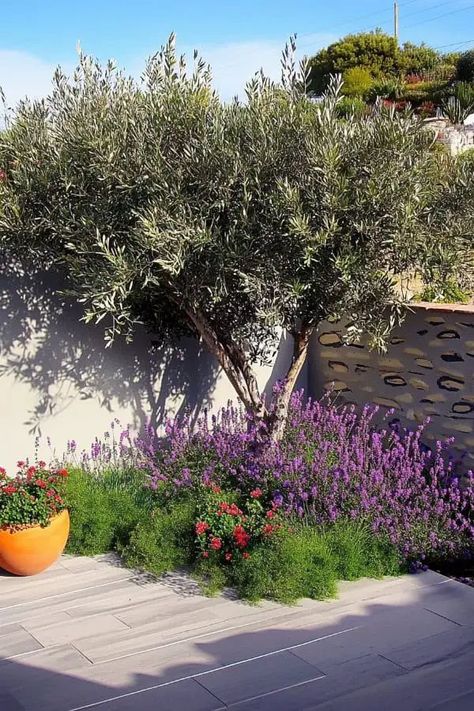 Small Mediterranean-style garden with flowers and rustic stone accents. Meditterean Garden Backyards, Garden Ideas Mediterranean, Modern Mediterranean Garden, Mediterranean Garden Ideas, Garden Ideas For Small Spaces, Mediterranean Terrace, Mediterranean Backyard, Garden Ideas Uk, Rock Garden Ideas