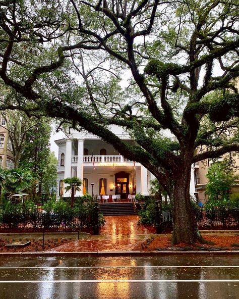 Visual Vamp, New Orleans Elopement, Nola Wedding, Landscape Services, Landscape Architect, Residential Architecture, Architectural Digest, Travel Around The World, Perfect Place