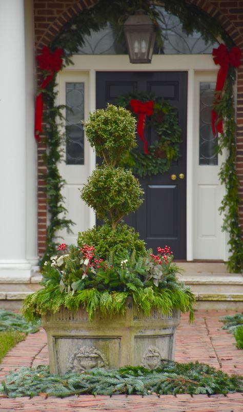 Boxwood Christmas Decor, Outdoor Christmas Topiaries, Boxwood Topiary Front Porch Fall, Topiary Front Door Christmas, Potted Boxwoods Front Door, Christmas Topiary Outdoor, Winter Topiary Outdoor, Front Porch Pots, Front Door Topiary Winter