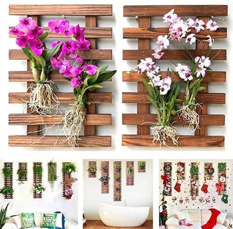 Succulent Holder, Vertical Garden Plants, Hanging Orchid, Indoor Orchids, Wall Plant Holder, Indoor Plant Wall, Orchid Planters, Plant Wall Decor, Hanging Plants Indoor