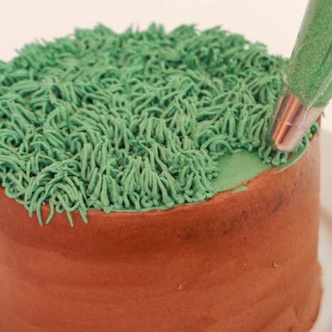 Use your cake decorating tools to their fullest potential and think beyond the instructions that come on the box! The grass icing tip or multi-opening piping tip (Wilton 233) can be used to create a ton of fun textures and designs. Grass Cake Decoration, Piping Grass On Cake, Grass Frosting Tip, Grass Tip Cake Decorating, Edible Grass For Cakes, Nozzles And Their Designs, Grass Piping Tip, Grass Cake, Edible Grass