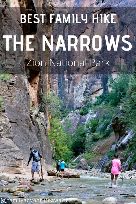 Why The Narrows is the Best Family Hike at Zion National Park Zion Narrows Hike, Narrows Zion National Park, The Narrows Zion, Temple Of Sinawava, Family Hike, Hiking The Narrows, Las Vegas Airport, Rock Walls, Riverside Walk