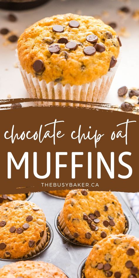 These Oatmeal Muffins with Chocolate Chips are the perfect sweet snack or breakfast made with whole grain oats and delicious chocolate - moist and tender! Recipe from thebusybaker.ca! #oatmealmuffins #chocolatechipoatmeal #breakfast #muffins #snack #baking via @busybakerblog Jumbo Oatmeal Muffins, Whole Grain Breakfast Muffins, Oatmeal Chocolate Chip Breakfast Muffins, Oatmeal Chocolate Chip Muffin Recipe, Baking Recipes With Oats, Oatmeal Choc Chip Muffins, Oat Flour Chocolate Chip Muffins, Easy Oatmeal Chocolate Chip Muffins, Oatmeal Chocolate Chip Muffins Healthy