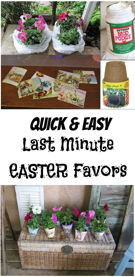 Easter Table Favors To Make, Easter Plant Gift Ideas, Easter Table Favors Simple, Easter Table Favors Gift Ideas, Easter Party Favors For Adults, Easter Hostess Gift Ideas, Easter Favors For Adults, Easter Table Favors, Inexpensive Easter Gifts