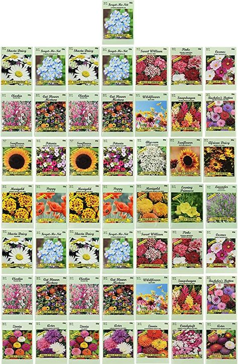 Amazon.com: Set of 50 Flower Seed Packets! Flower Seeds in Bulk, 15 or More Varieties Available! : Patio, Lawn & Garden Flower Seed Packets, Shasta Daisy, Valley Green, Flower Seeds Packets, Garden Help, Evening Primrose, Natural Garden, Seed Packets, Flower Seeds