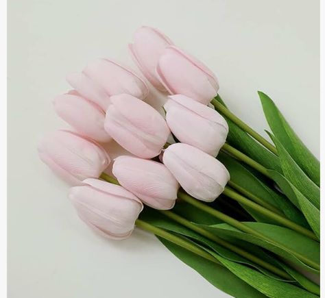 10Pcs Blush Artificial Tulips Silk Flowers, Long Stem and Green Leaves, Fake Flowers Decoration for Vase, Wedding, Party, Kitchen, Office, Home, Bedroom, Table Centerpiece Decor Party Kitchen, Artificial Tulips, Bedroom Table, Flowers Decoration, Pink Tulips, Kitchen Office, Office Home, Fake Flowers, Silk Flowers