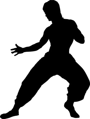 Discover and download free images - Pixabay Accessories Video, Bruce Lee Martial Arts, Silhouette Vinyl, Phone Bags, Wearable Device, Bruce Lee, Mobile Phones, Martial Arts, Vinyl Decal