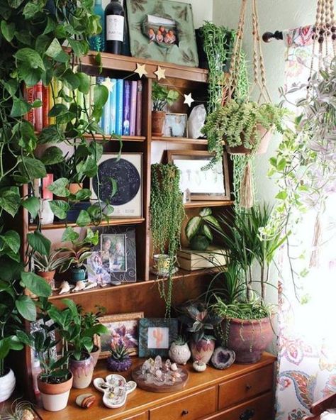 The Hibiscus Room Cool Bookshelves, Bookshelf Decor, Green Rooms, My New Room, Dream Room, Bohemian Decor, House Inspiration, Plant Decor, Home Deco