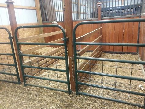 Goat Pen Ideas, Sheep Pen, Goat Shed, Livestock Barn, Livestock Shelter, Goat Shelter, Goat Pen, Diy Horse Barn, Show Goats