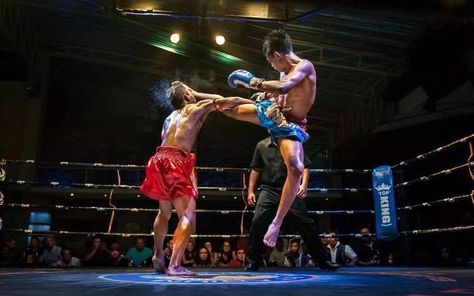 Muay Thai brutality at its finest. http://terrysamui.wordpress.com/ Muay Boran, Culture Of Thailand, Muay Thai Martial Arts, Muay Thai Training, Action Pose Reference, Male Pose Reference, Thai Boxing, Action Pose, Anatomy Poses