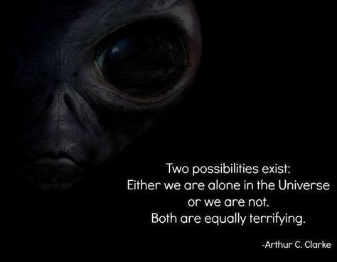 Aliens Bizarre Pictures, A Quote, New Memes, The Universe, Aliens, Funny Images, Wise Words, Favorite Quotes, Quote Of The Day