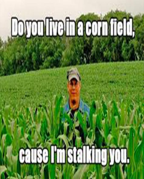 20 Cheesy Pick Up Line Memes That Are So Bad They're Funny | YourTango Pick Up Line Memes, Corny Pick Up Lines, Bad Pick Up Lines, Funny Pick, Pick Up Lines Cheesy, Corn Field, Pick Up Lines Funny, Corny Jokes, My Funny Valentine