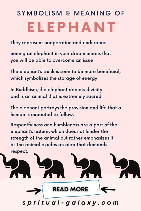 how to manifest in your dreams Elephant Meaning Symbols, Elephant Symbolism Meaning, Elephant Spiritual Meaning, Quotes About Elephants, What Do Elephants Symbolize, Elephant Symbolism, Elephant Drawings, Spirit Element, Clairvoyant Psychic Abilities