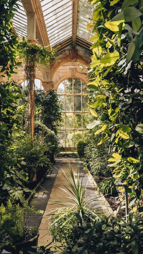 Castle Ashby, White Clematis, Lots Of Plants, Alnwick Castle, Filter Aesthetic, Plant Aesthetic, Nature Aesthetic, Glass House, Pretty Places