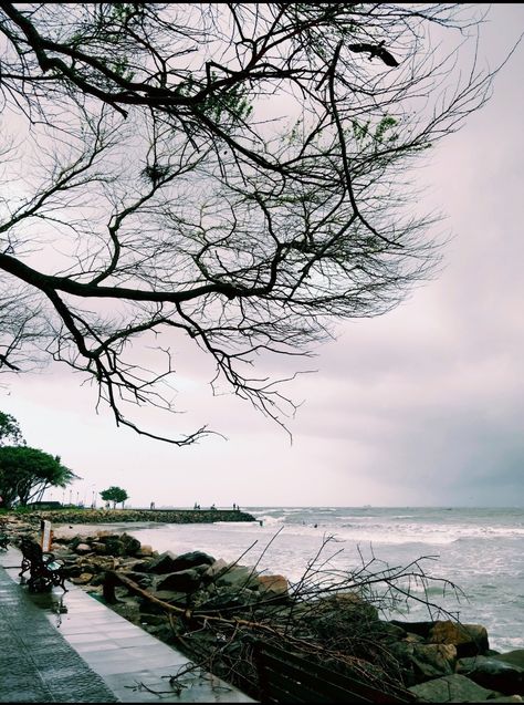 Fortkochi Photography, Fort Kochi Aesthetic, Aesthetic Kerala, Indian Places, Jog Falls, Place Aesthetic, Dynamic Wallpaper, Sea Aesthetic, Iphone Dynamic Wallpaper