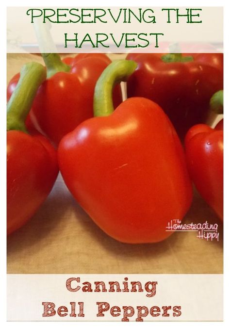 How To Can Bell Peppers: How To Can Green Peppers, Canning Red Peppers, Canning Bell Peppers, Creative Canning, Canning Veggies, Canning Peppers, Preserving Recipes, Canning 101, Freezing Food