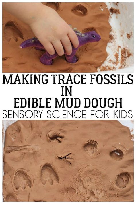 Discover how trace fossils are made with this fun sensory science activity for kids using edible mud dough and dinosaurs. Fossil Preschool Activities, Dinosaur Science, Dinosaur Playdough, Soil Activities, Fossils Activities, Earth Science Activities, Dinosaur Activities Preschool, Dinosaurs Preschool, Playdough Activities