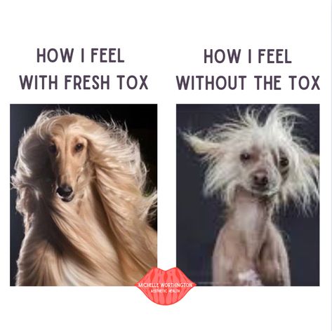 Botox Memes Funny, Botox Funny, Plastic Surgery Quotes, Surgery Quotes, Medi Spa, Anti Wrinkle Injections, Spa Marketing, Presentation Slides Design, Skin Care Business