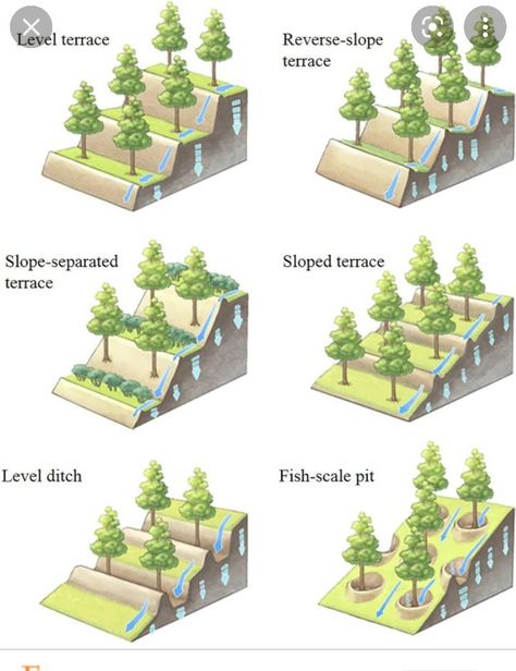 Fredericton New Brunswick, Civil Engineering Construction, Sloped Backyard, Farm Layout, Hillside Landscaping, Permaculture Design, Permaculture Gardening, Landscape Architecture Design, Green Architecture